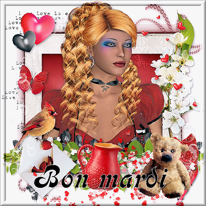 Résultat de recherche d'images pour "bon mardi en plein menage"