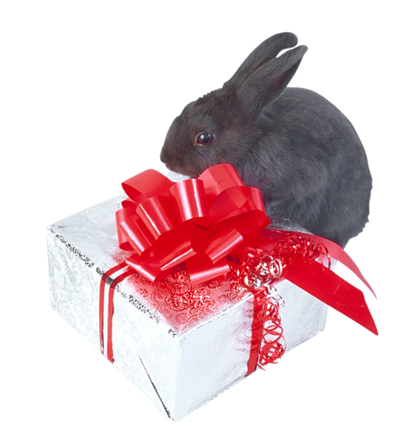 tube lapin pour vos créas!