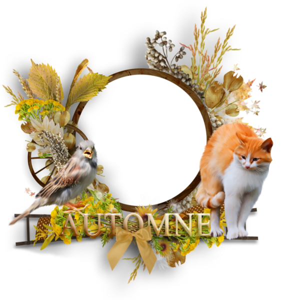 image fond (png) pour  vos créas!